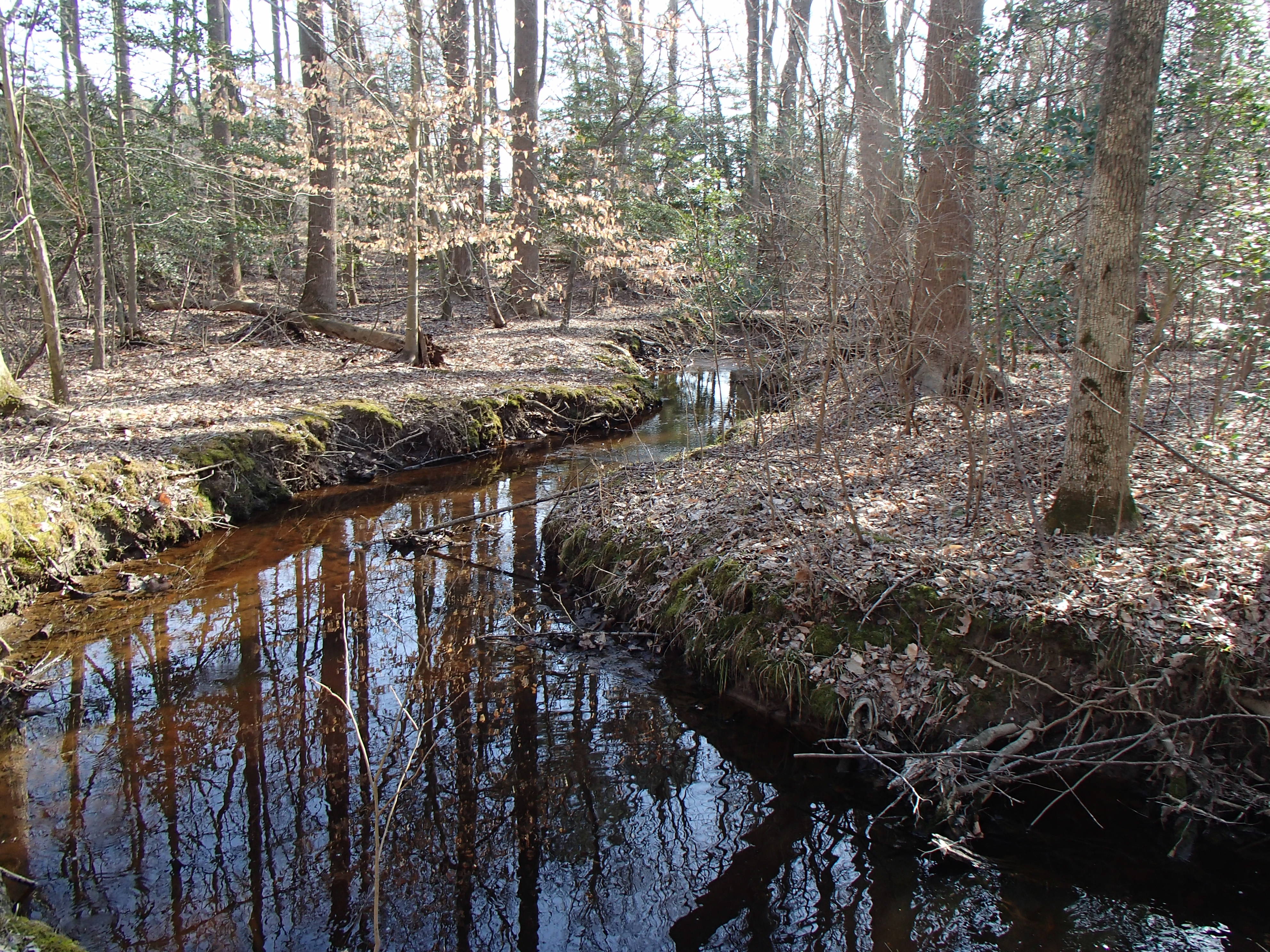 Field photo showing stream conditions at site UPCK-113-S-2016_midpoint looking downstream